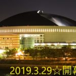 ソフトバンク2019開幕戦が豪華！タカガールデーが東京で開催？